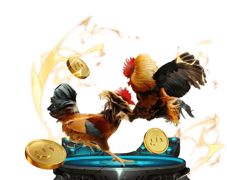 Máy đánh bạc nw88