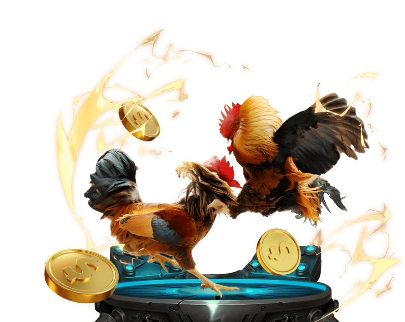 Trò chơi đá gà trực tuyến NW88, phát sóng trực tiếp các trận đấu từ các trường gà uy tín.